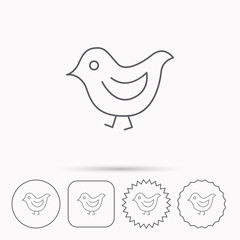 Bird icon. Chick with beak sign.