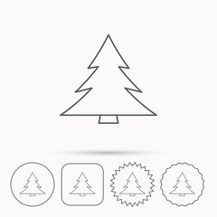 Christmas tree icon. Forest or nature sign.