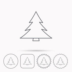Fototapeta premium Christmas tree icon. Forest or nature sign.