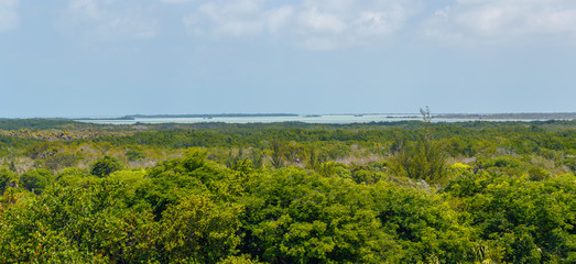 Panoramic view of the coast of the tropical island