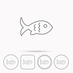 Fish icon. Seafood sign. Vegetarian food symbol.