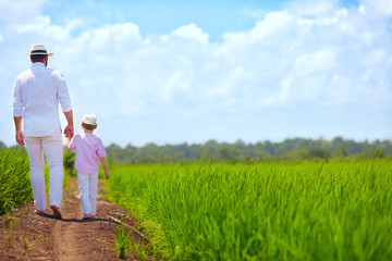 barefoot father and son walking through the rice field