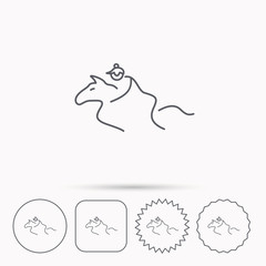 Fototapeta premium Horseback riding icon. Jockey rider sign.