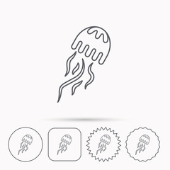 Jellyfish icon. Marine animal sign.