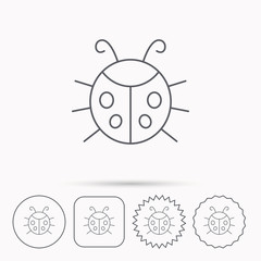 Ladybug icon. Ladybird insect sign.
