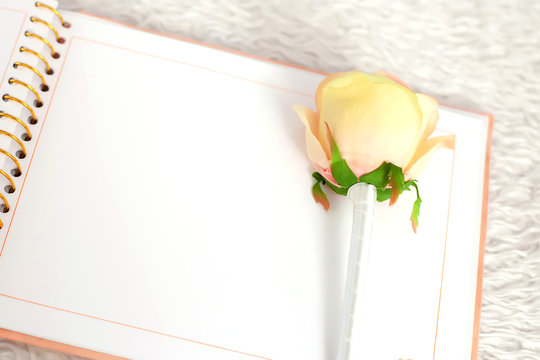blank notebook and rose on a white carpet