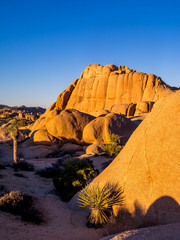 Jumbo Rocks in Joshua Tree National Park, California, USA, where the Mojave and Colorado desert ecosystems meet. - obrazy, fototapety, plakaty