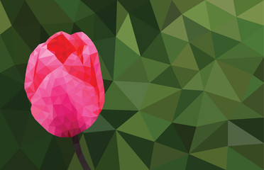Low polygon pink tulip flower