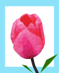Low polygon pink tulip flower with leaf
