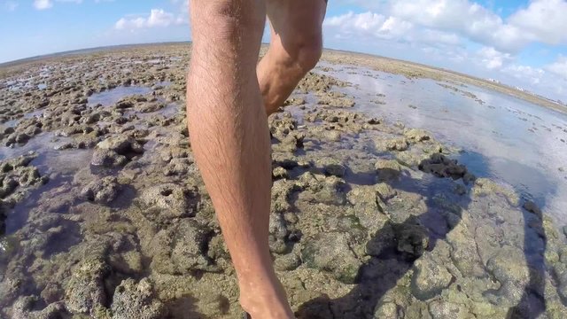 Closeup man's feet in sandals walking on coral reef