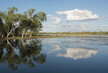 Kununurra Western Australia Lake Kununurra