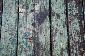 Old wood background