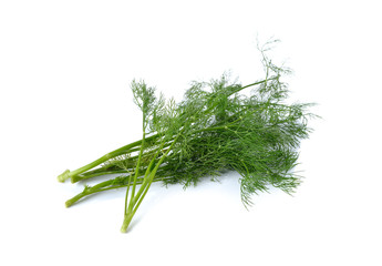 fresh green Dill with stem on white background