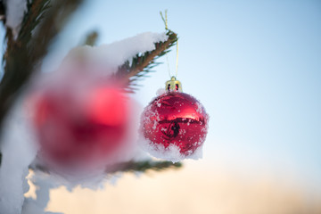 christmas balls on pine tree