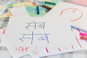 Hindi; Kids Writing Name of the Fruits for Practice