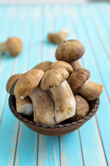 Wild fresh porcini mushrooms in handmade earthenware basin over stylized old aged wooden turquoise table background with selective focus. Rustic background with copy space