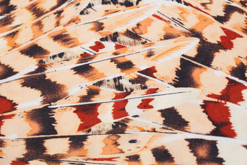 Leopard fabric pattern,silk fabric