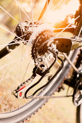 Close up of a Bicycle wheel with details, chain and gearshift mechanism, in morning sunlight.