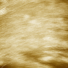Fototapeta premium Shiny yellow leaf gold
