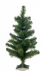 christmas tree isolated