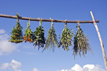 Bundles of fresh medical herbs hanged to dry on  wooden stick