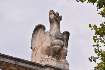 Avignon in Provence 