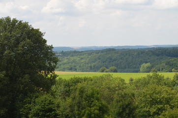 Fototapeta premium View over forest landscape