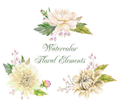 Watercolor set of floral elements for design.