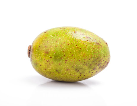 Hog Plum ( Spondias pinnata Kurz)