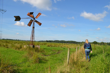 Fototapeta premium Windmill in a meadow in a wet polder