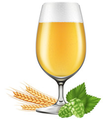 A glass of beer with barley and hops. Photo-realistic vector illustration.