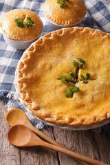 Golden Chicken pot pie in the baking dish close up. vertical   © FomaA