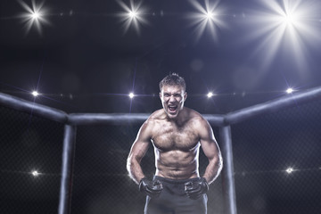 ultimate mma fighter in a octagon cage