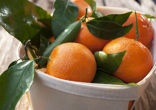 Frische Mandarinen, Clementinen im Spankorb auf Treibholz / Holzbrett 