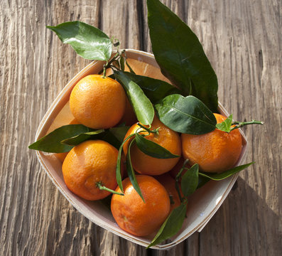 Frische Mandarinen, Clementinen im Spankorb auf Treibholz / Holzbrett