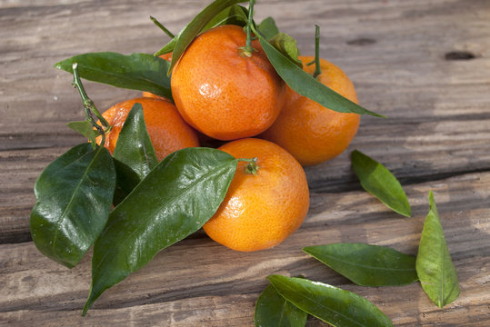 Frische Mandarinen, Clementinen auf Treibholz / Holzbrett