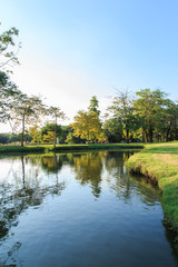 Obraz premium Bright autumn landscape in the city park.,Vachirabenjatas Park (Rot Fai Park) in Thailand