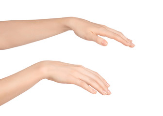 Beauty and Health theme: beautiful elegant female hand show gesture on an isolated white background in studio