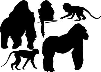 silhouettes Monkeys