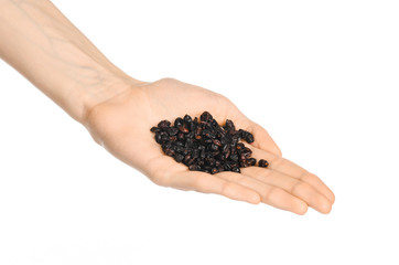 Spices and cooking theme: man's hand holding a bunch of dried barberry isolated on white background in studio