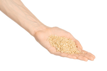 Groats and meal preparation topic: human hand holding a pile of dry barley isolated on white background in studio