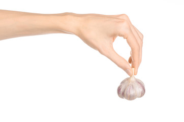 Spice and cooking theme: man's hand holding a dry garlic isolated on a white background in studio © Alex