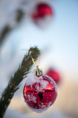 christmas balls on pine tree