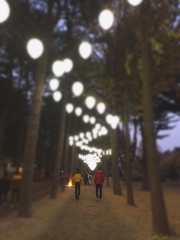 people walking on leaf way