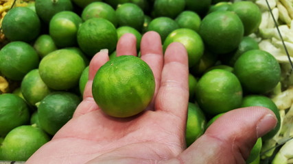 lemon in the palm