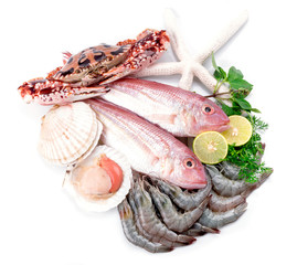 Fresh seafood