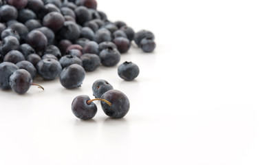 fresh blueberries