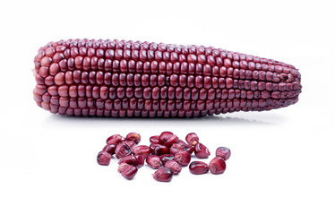purple corn