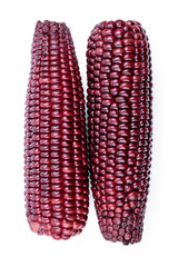 purple corn