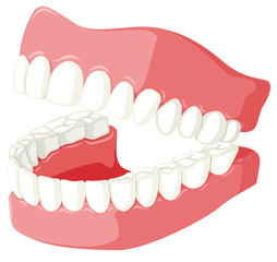 Dental theme with teeth model